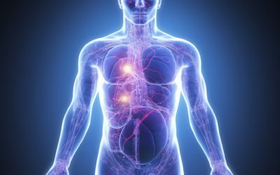 Diabetes & Metabolic Disorders Rife Frequencies + 432Hz + Chakra Repair: Holistic Solutions