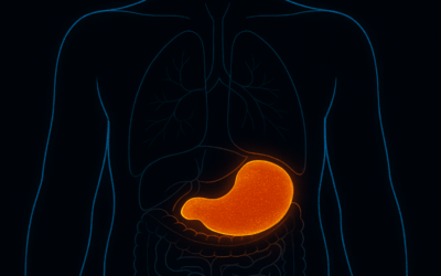 Visceral Fat Release – Cellular Activation & Detox Energetics