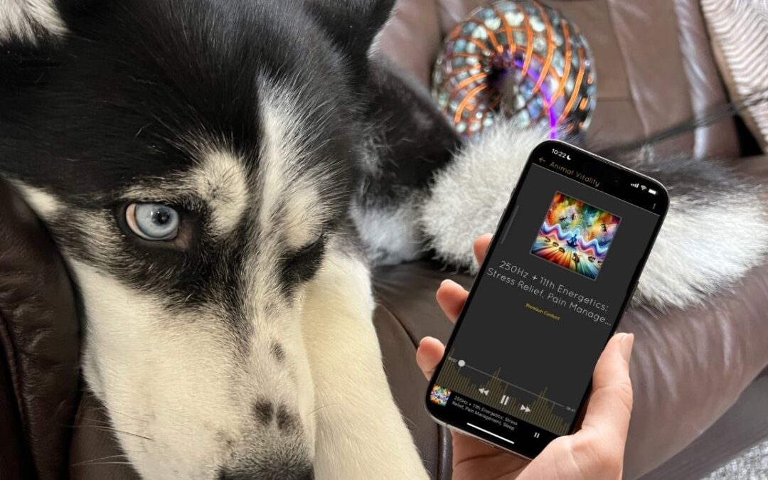 Why All Frequencies Work for Humans, Pets, Plants, Food, and Water: The Universal Biofield Explained